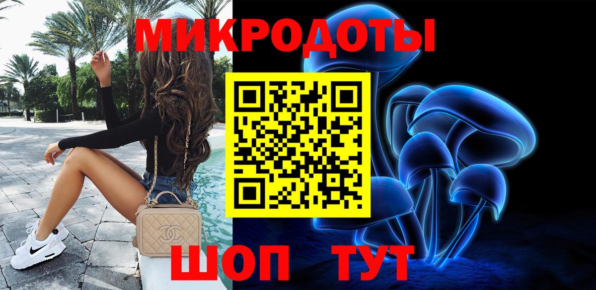 Бор  Псилоцибиновые грибы Psilocybe  Вход с VPN 